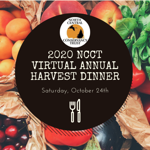 NCCT’s Annual Dinner was held on Saturday, October 24th, 2020!