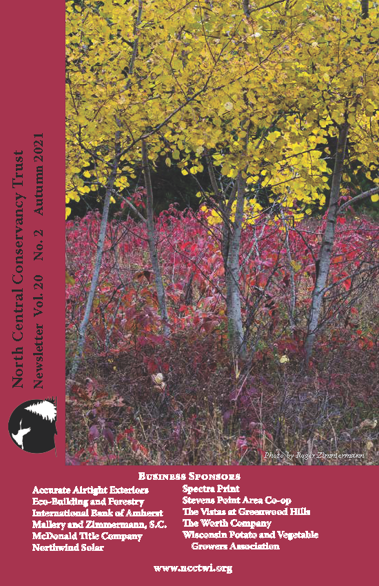 NCCT Publishes Fall 2021 Newsletter!