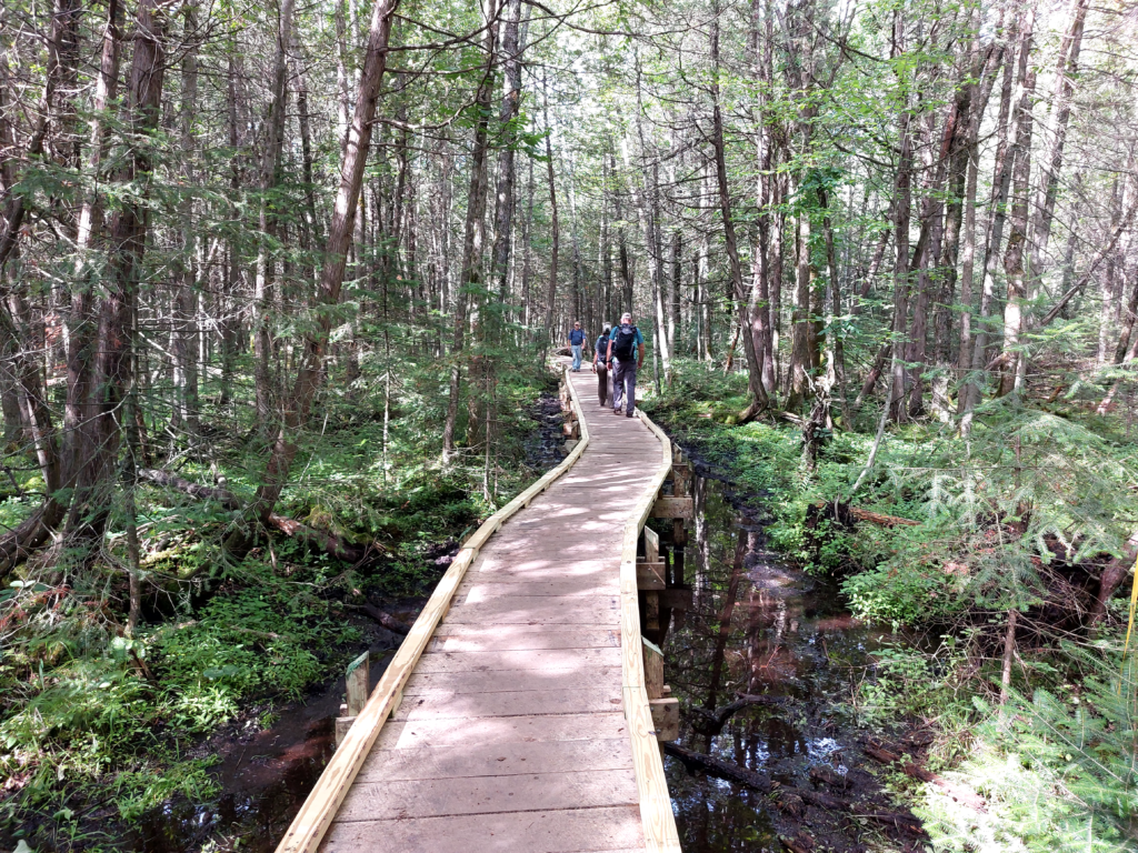 NCCT Celebrates the Ice Age Trail Alliance’s Opening of Trail on Marathon County Rice Lake Preserve!