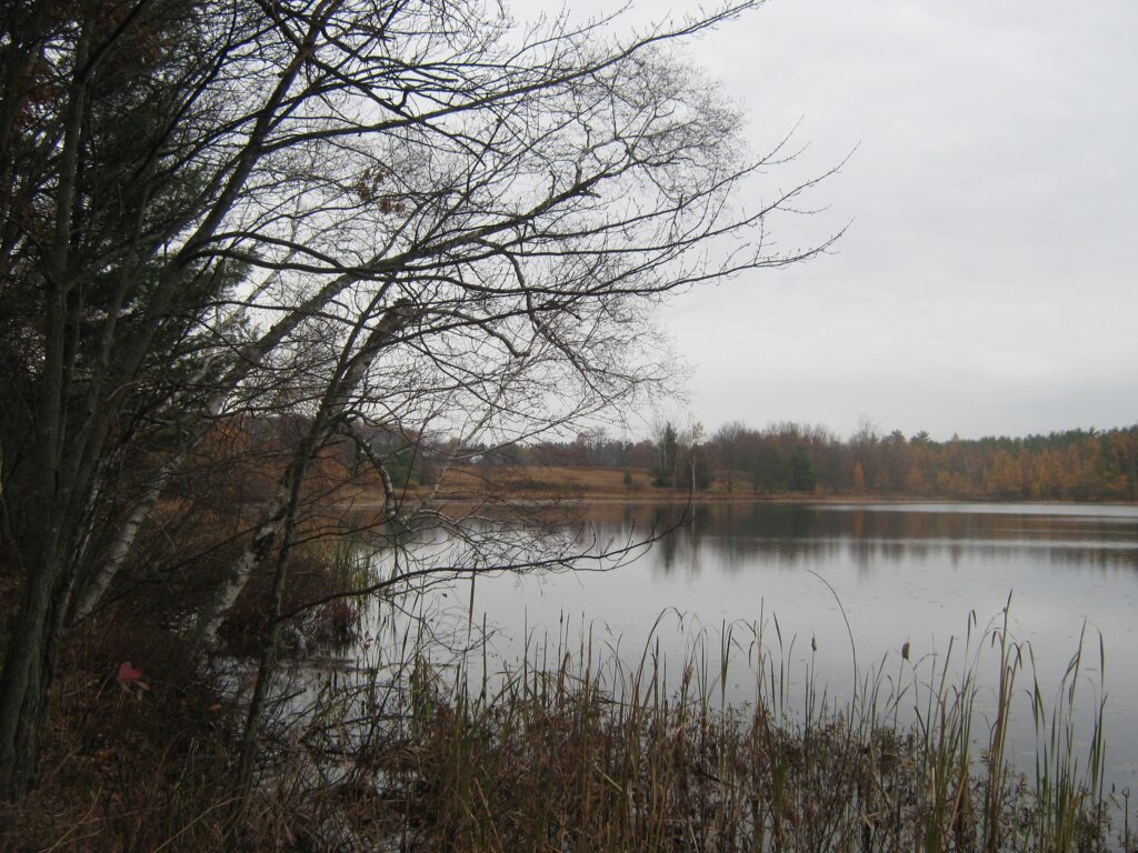 Remembering Barbara Curwen, Friend of the Land