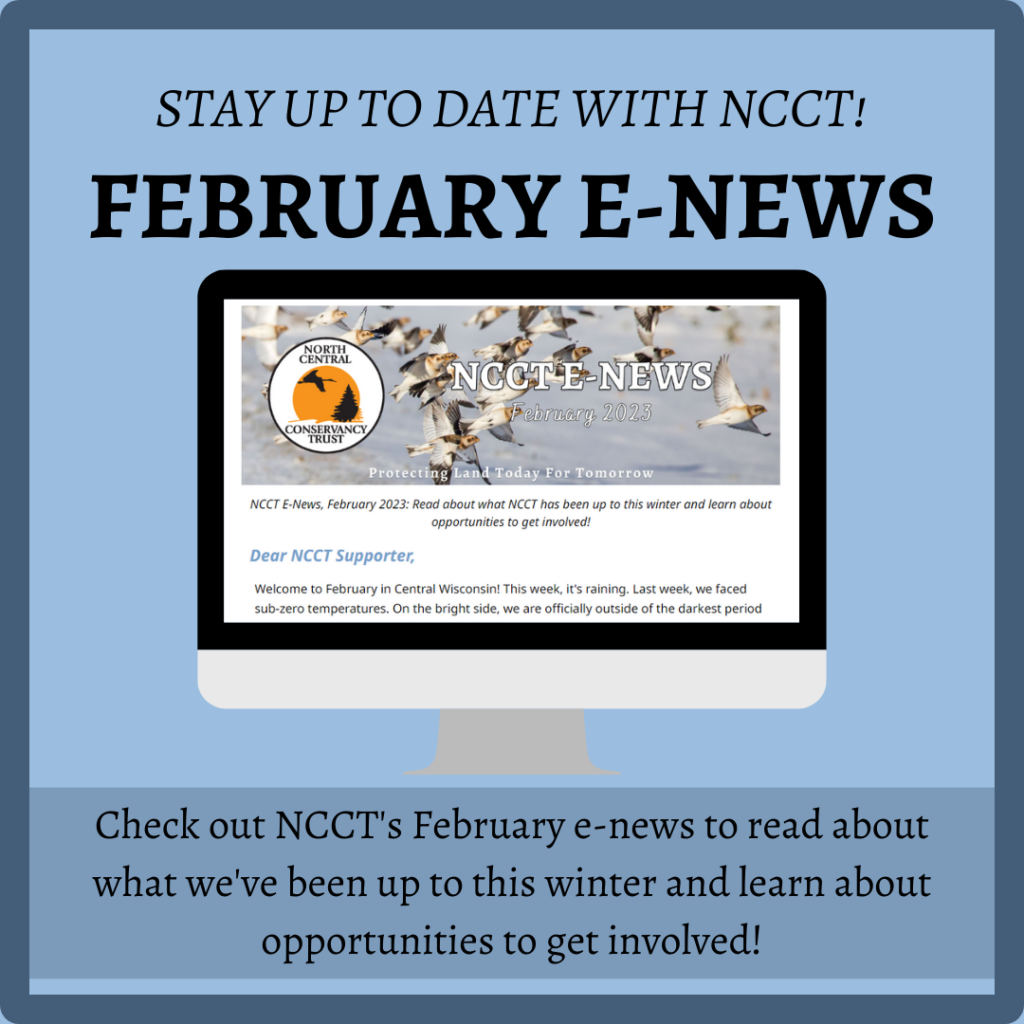 NCCT E-NEWS: February 2023, Now Available!
