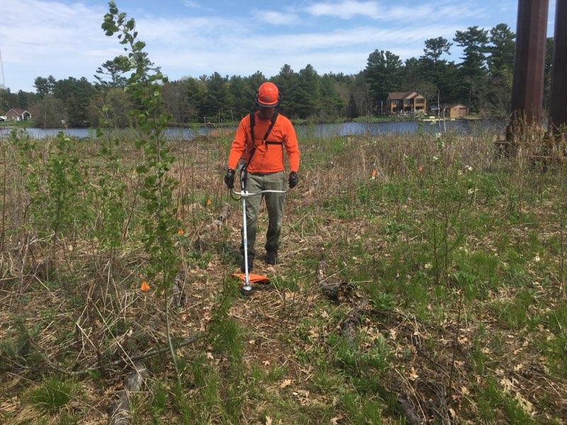 Thank you, Tomorrow River Chapter – Pheasants Forever!