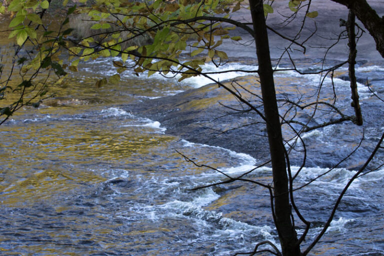 eau-claire-river_MG_6652