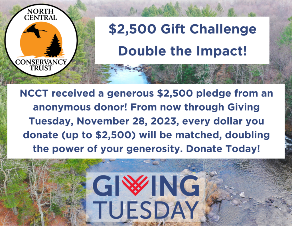 $2,500 Match Challenge! Now through November 28th, Donate Today to help NCCT meet the goal!