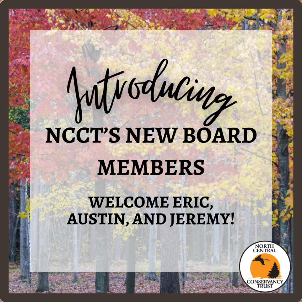 Introducing NCCT’s New Board Members!