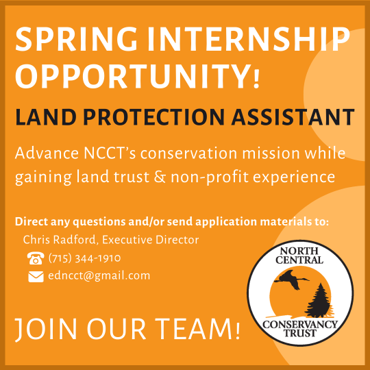 Join our Team! Now Hiring for 2024 Spring Student Internship