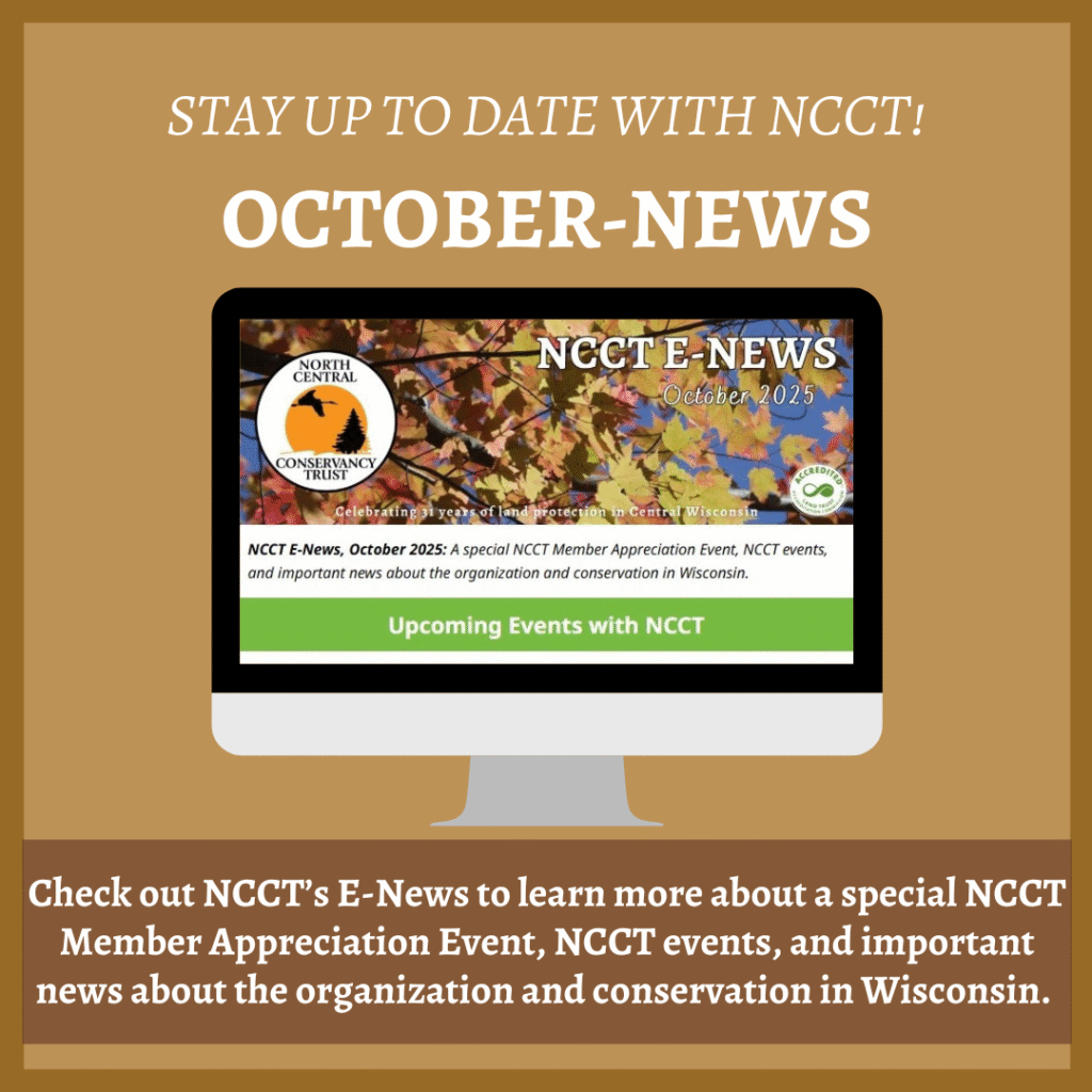 October 2025 E-News