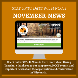 November 2025 E-News