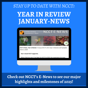 2025 Year in Review E-News