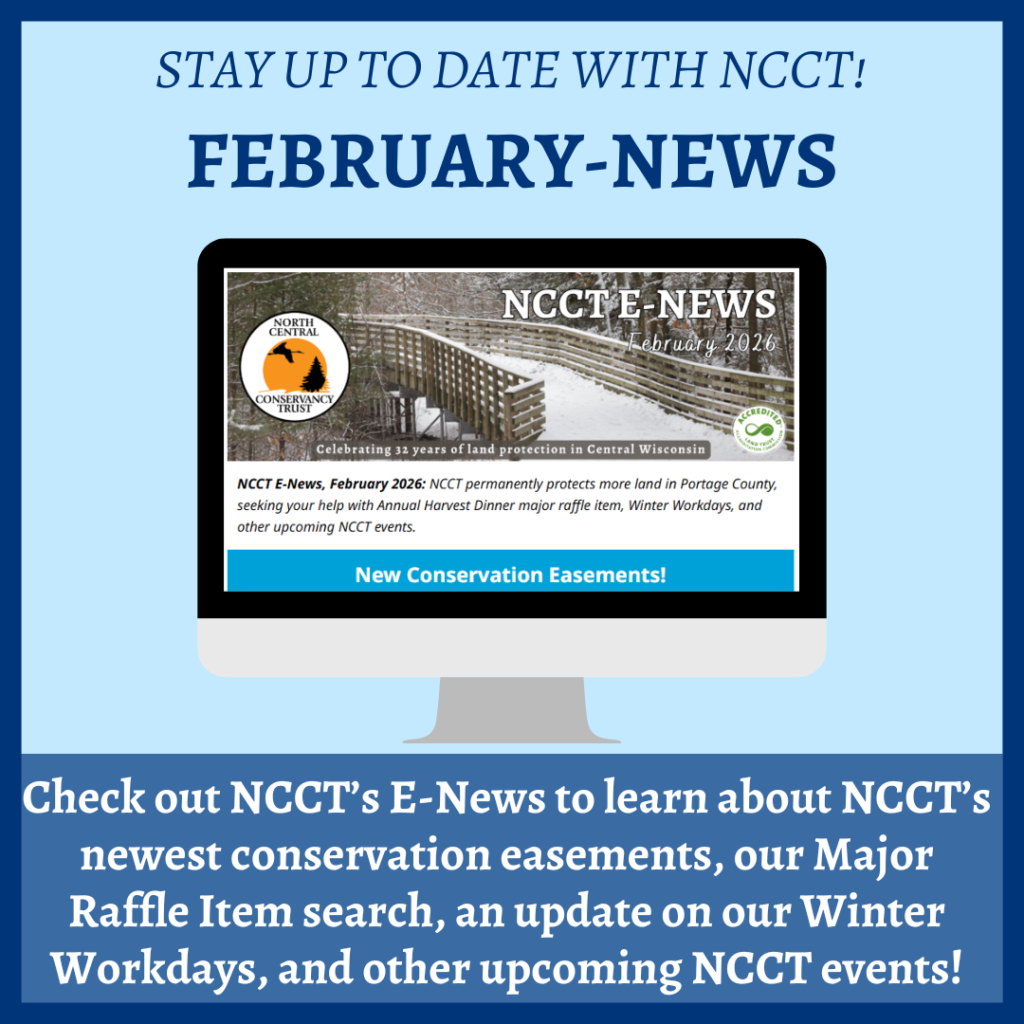 2026 February E-News