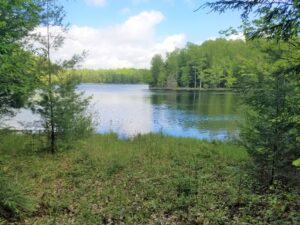 Sisters of Saint Mercy & NCCT Featured in Lake Tides