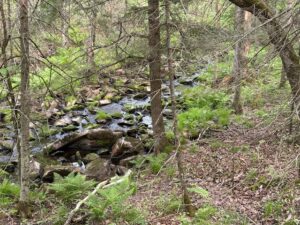 NCCT Featured On WJFW
